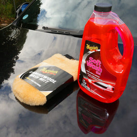 MEGUIARS LAMBSWOOL MITT WITH BUG REMOVER